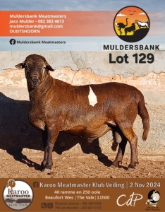 1X MEATMASTER RAM MULDERSBANK MEATMASTERS