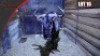 Blue Wildebeest