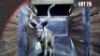 Kudu