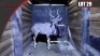 Kudu