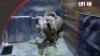 Golden Gnu
