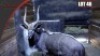 Nyala