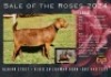 1X KALAHARI RED Stoet 48-893 DOE ALBIAN KALAHARI REDS