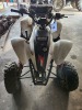 Polaris TrailBlazer 250 Automatic - 4