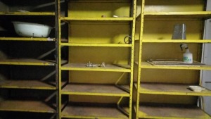 Job Lot Shelves x 3