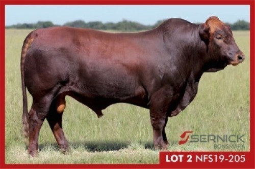LOT 2 NFS 190205 (Poena)