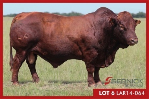 LOT 6 LAR 140064