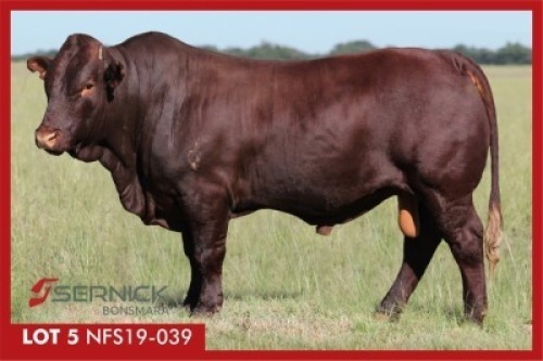 LOT 5 NFS 190039