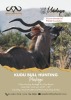 KUDU BULL HUNTING PACKAGE Boschpoort Safaris - 2