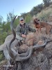 HUNT WITH DOUBLE RIFLES Northern Cape Professional Hunting School - 3