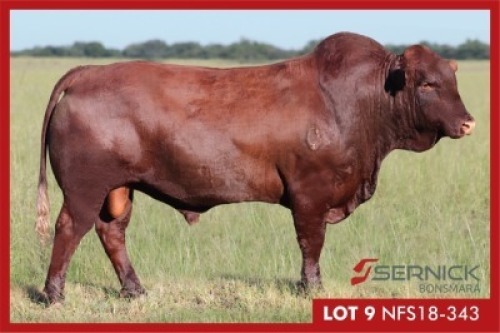 LOT 9 NFS 180343