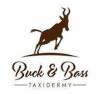 TAXIDERMY OF ANY SHOULDER MOUNT Buck n Bass Taxidermy - 2