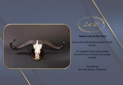 REPLICA CAPE BUFFALO SKULL Nico Van Rooyen Taxidermy