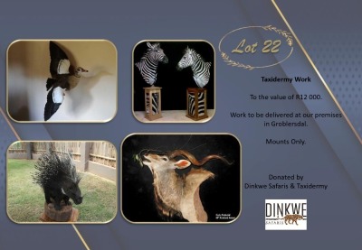 TAXIDERMY WORK Dinkwe Safaris & Taxidermy