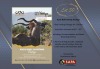 KUDU BULL HUNTING PACKAGE Boschpoort Safaris