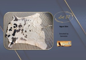 NGUNI SKIN Gametan