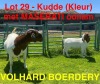 1+1X BOER GOAT STUD DOE VOLHARD BOERDERY - 2