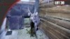 Waterbuck