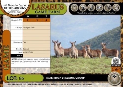 4X Waterbuck breeding group Lasarus Game Farm (Pay per Animal)
