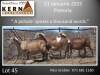 3X MEATMASTER RECORDED EWE Kern Meatmasters - 3