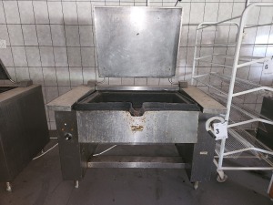 1 X Tilting Pan Electric