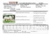 20X GREY BRAHMAN SEMEN STRAW WBS 20/796 Wayside Brahman Stud - 2