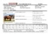 20X RED BRAHMAN SEMEN STRAW WB 14/952 Wayside Brahman Stud - 2