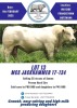 25X CHAROLAIS SEMEN MCS 170134 Marshall Charolais Stud