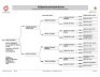 1X BOER GOAT FLOCK ON COLOUR DOE - 2