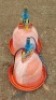 2X CHICKEN DRINKERS CdP Auctioneers (Per animal to take the lot)