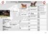 1X KALAHARI RED FLOCK BUCK Salmon van Huyssteen Boer Goat Stud - 2