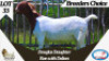 1X BOER GOAT PREGNANT STUD DOE Meadowood Boer Goat Stud