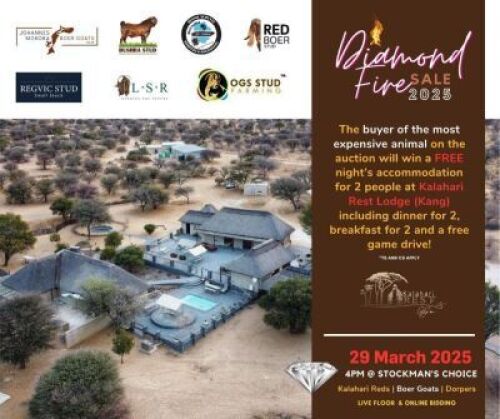 MOST EXPENSIVE LOT BUYER WILL WIN
