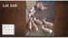 8X SPRINGBOK M:8 (Per Piece to take the lot/Per stuk om lot te neem)