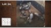 6+3X BLOUWILDEBEES V/F:6+3 (Per Piece to take the lot/Per stuk om lot te neem)