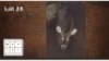 1X WATERBOK M:1