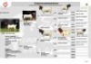 1X BOER GOAT FLOCK ON COLOUR BUCK Salmon van Huyssteen Boer Goat Stud - 2