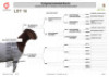 1X BOER GOAT FLOCK ON COLOUR DOE Welgelee Boer Goat Stud - 2