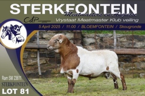 1X MEATMASTER NOT RECORDED RAM Sterkfontein Meatmasters