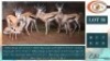 8X SPRINGBOKKE M:8 (Per Piece to take the lot/Per stuk om lot te neem)