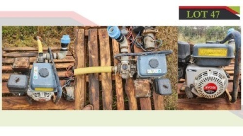 1X Ryobi Water Pump Lofdal (See Description for Details)