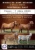 KALAHARI RED LOTS 1-43 (JOIN LIVE AUCTION TO SEE ANIMALS PER LOT)