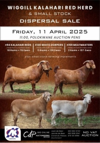 MEATMASTER LOTS 46-86 (JOIN LIVE AUCTION TO SEE ANIMALS PER LOT)