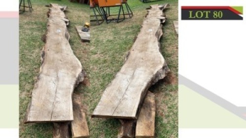 1X Wood Slab Neels Griehaber (See Description for Details)
