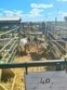 LOT 40 2X MEATMASTER EWE GF Van Rooyen (Per animal to take the lot) - 2