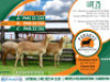 3X MEATMASTER EWE Paradys Meatmasters (Per animal to take the lot)