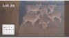 6 X ROOIBOKKE V/F:6 (Per Piece to take the lot/Per stuk om lot te neem)