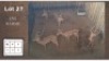 5 X ROOIBOKKE M:5 (Per Piece to take the lot/Per stuk om lot te neem)