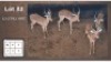 4 X ROOIBOKKE M:4 (Per Piece to take the lot/Per stuk om lot te neem)