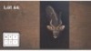 1 X NYALA M:1
